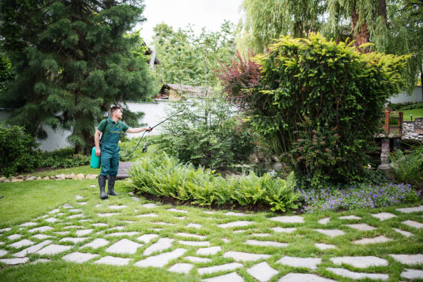 Best Pest Removal Services  in Conning Towers Nautilus Park, CT