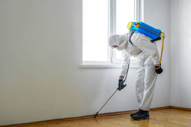 Best Local Pest Control Services  in Conning Towers Nautilus Park, CT