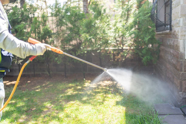 Best Wasp Removal Services  in Conning Towers Nautilus Park, CT