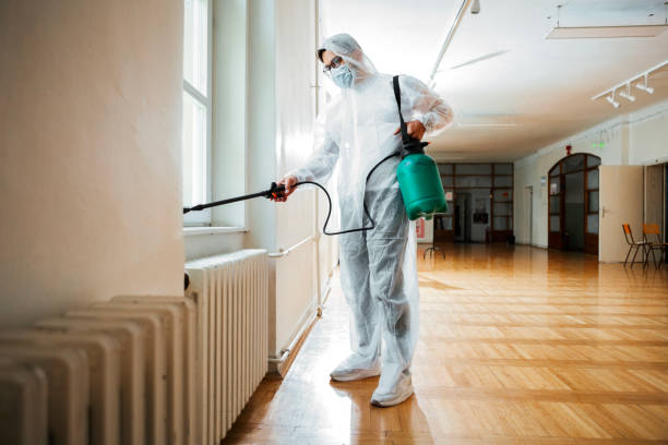 Best Mosquito Control Services  in Conning Towers Nautilus Park, CT